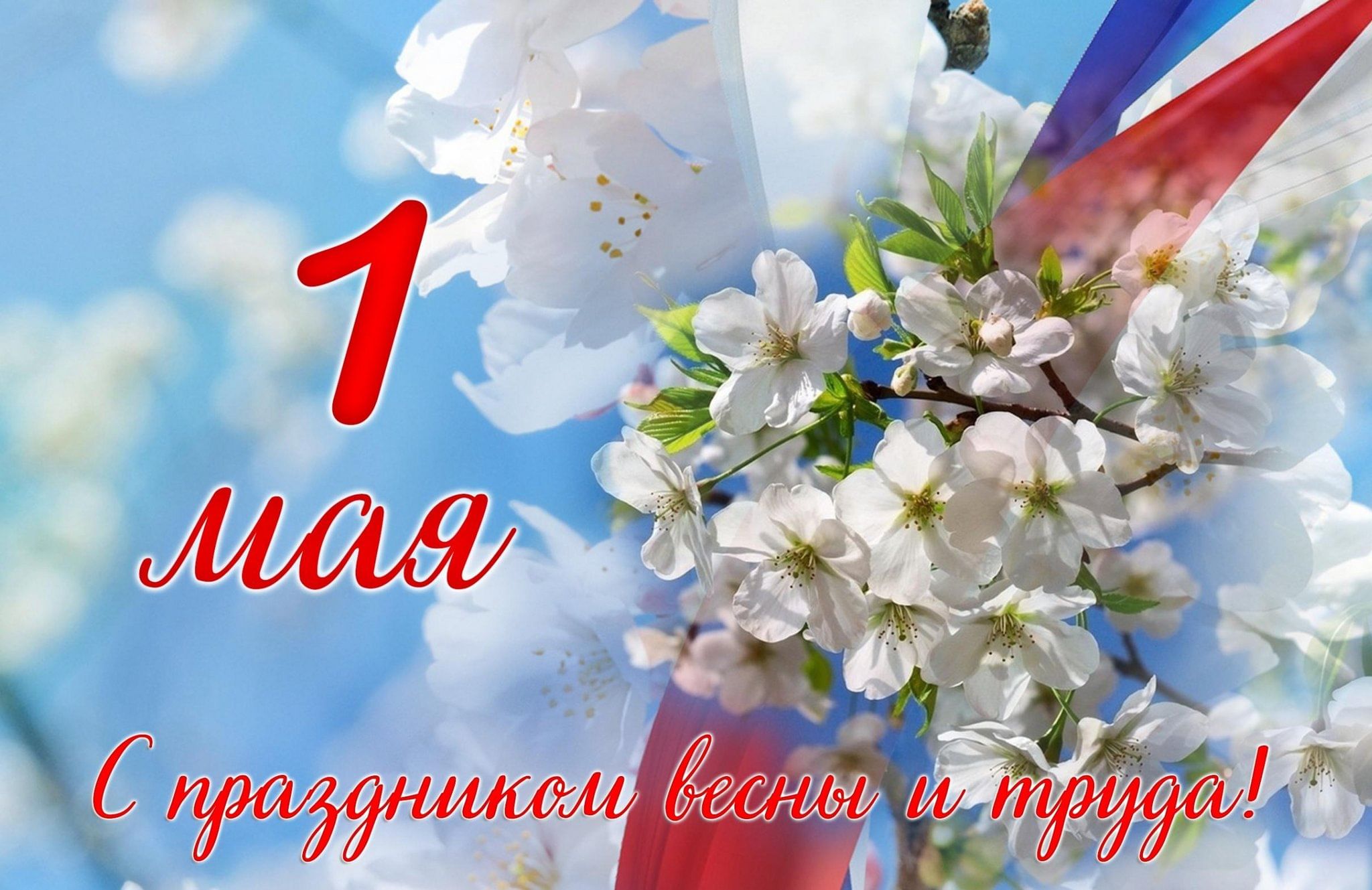 Условия Доставки