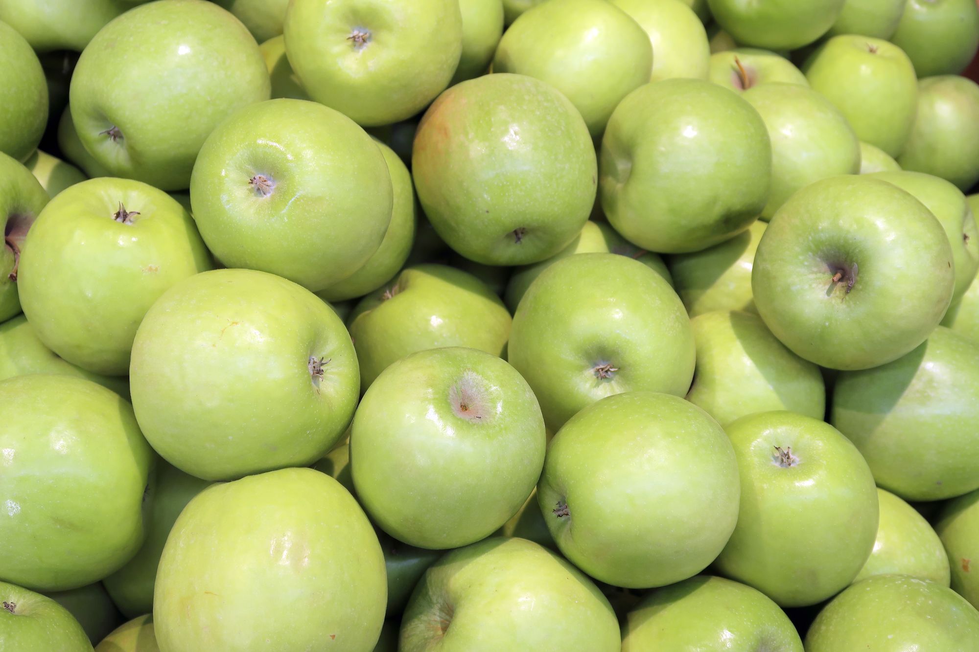 картинка Яблоки симиренко средние 1 кг от нашего магазина