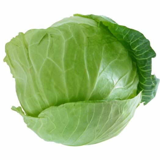 картинка Капуста МОЛОДАЯ(вес от 1кг) от нашего магазина